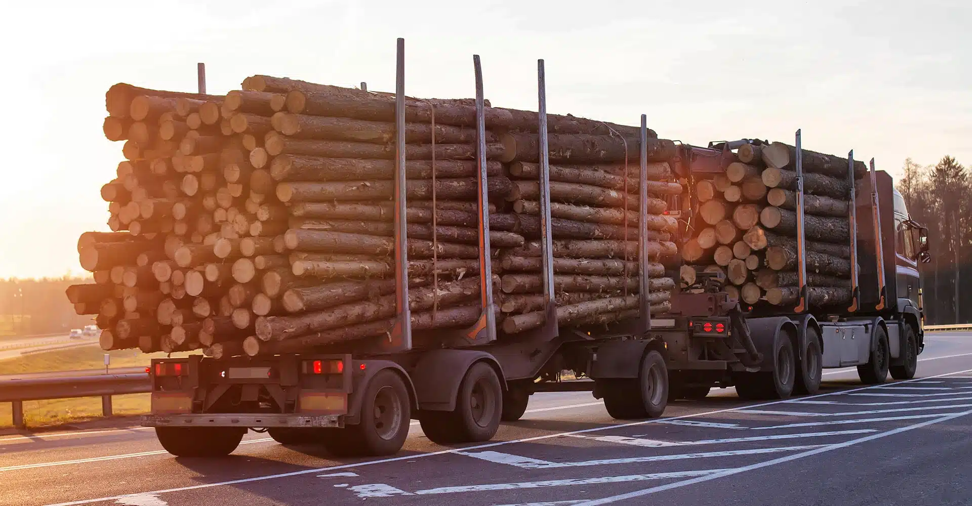 fully-loaded logging truck driving along the road
